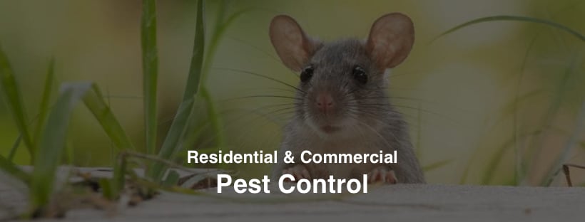 Garfield Pest Control