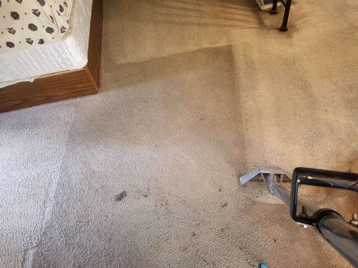 1st Choice Carpet Cleaning