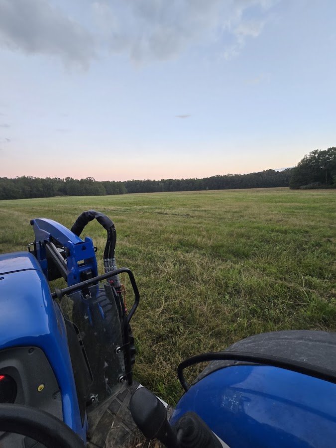 Beene's Bush Hogging