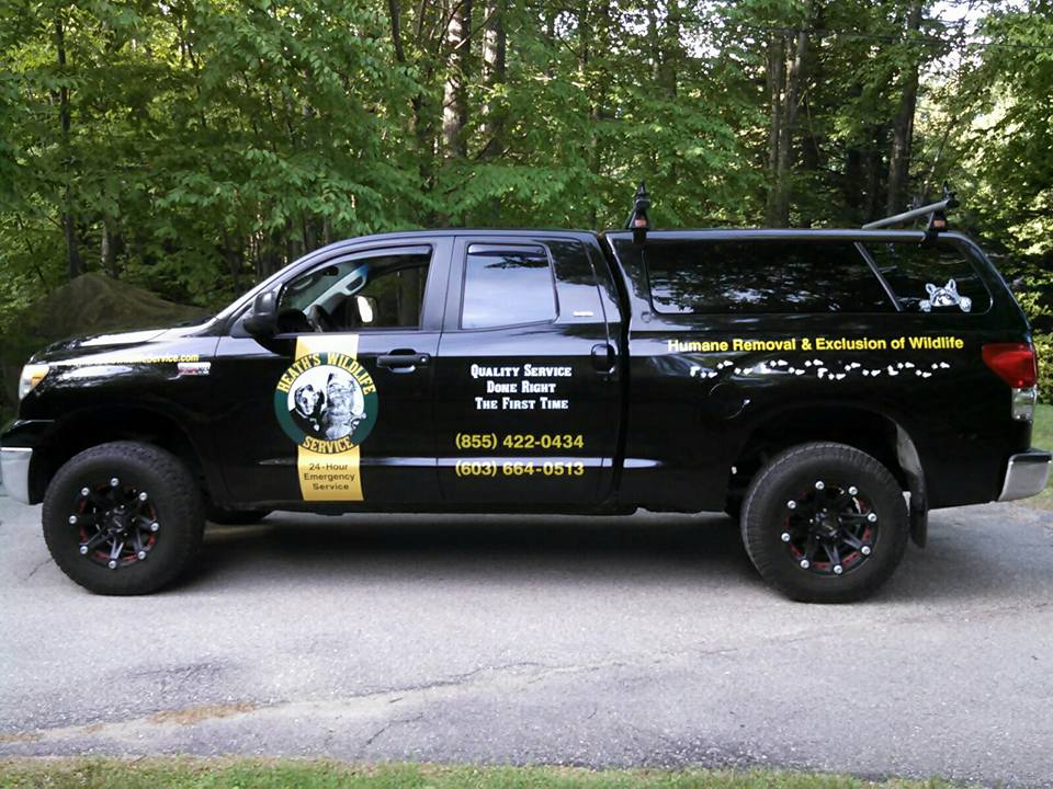 Heath's Wildlife Service