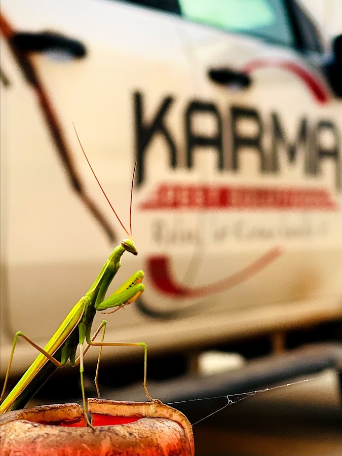 Karma Pest Solutions