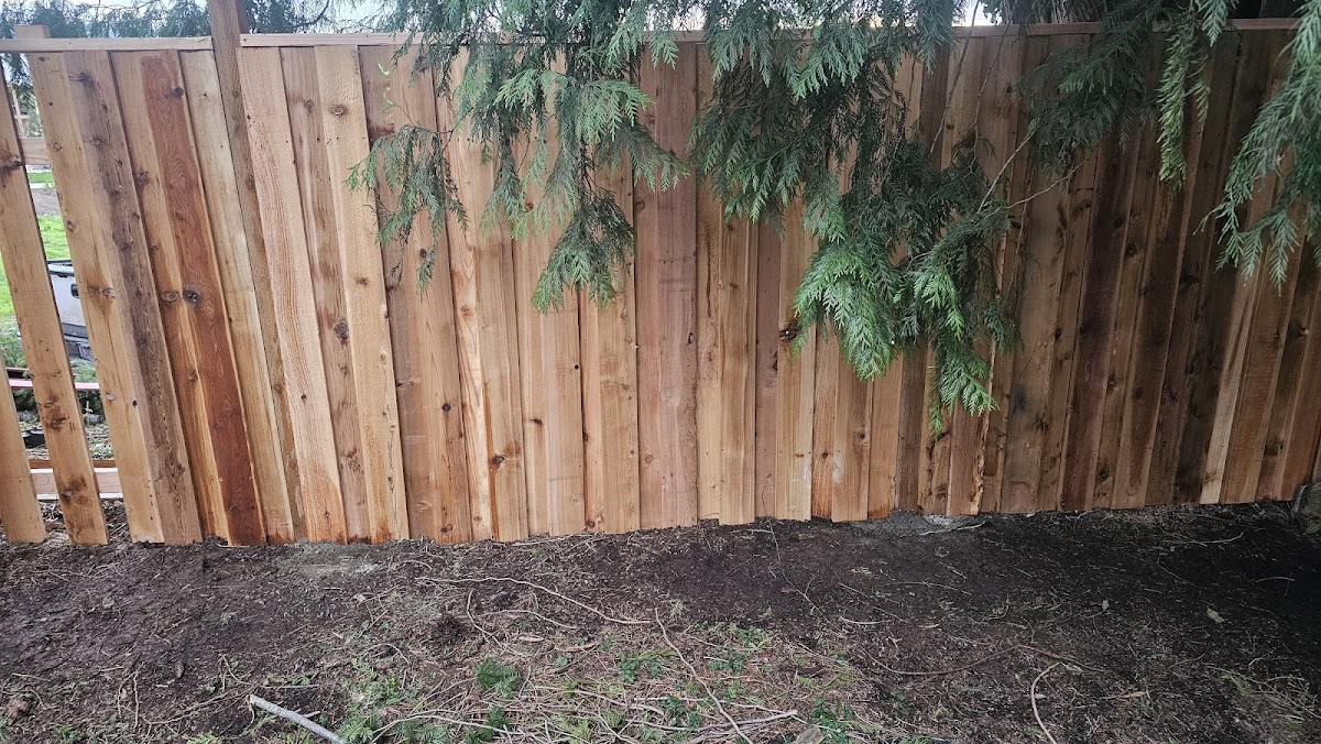 Always Better Services LLC