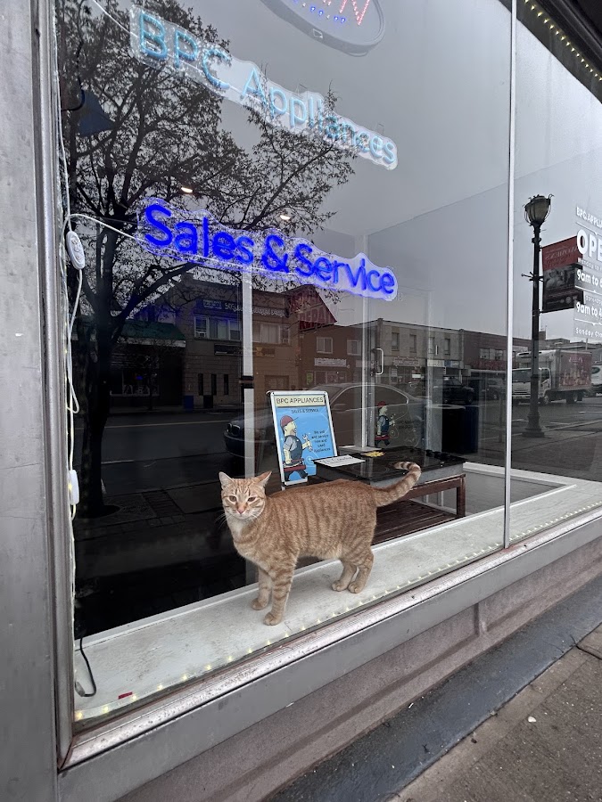 BPC Appliances LLC - BPC Appliances LLC Dryer Repair in Linden, NJ photo