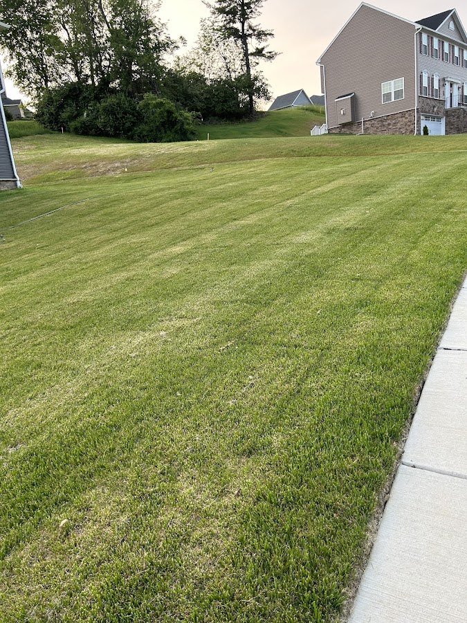 By Any Means Lawn Care and Junk Removal DC, Maryland, Virginia