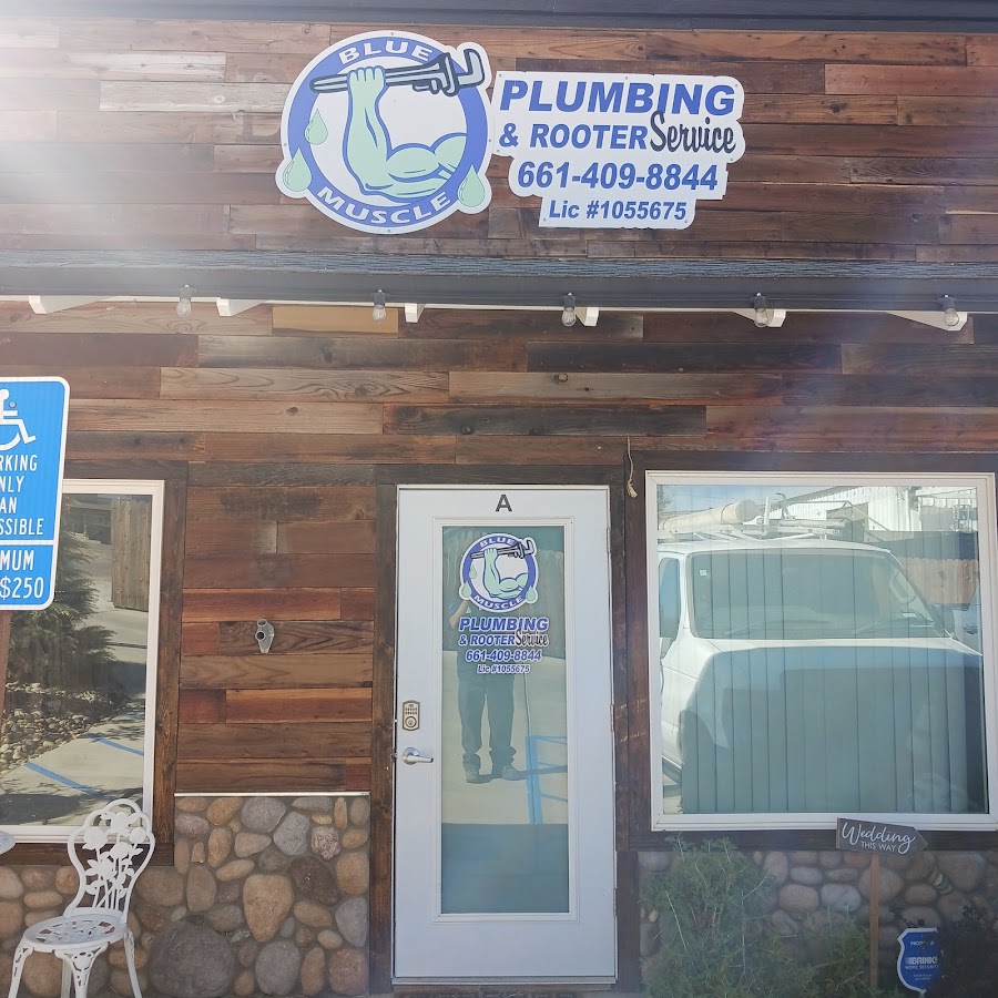 Blue Muscle Plumbing And Rooter Service
