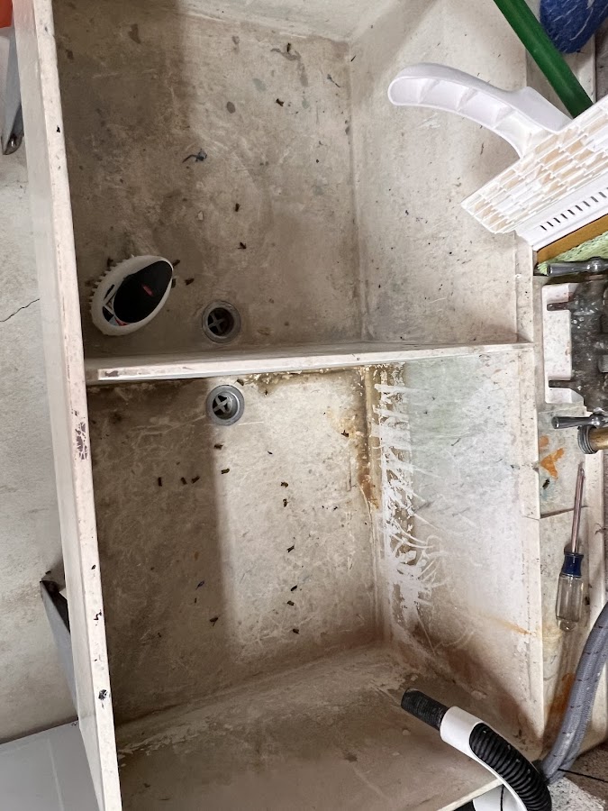 Premier Pest Solutions