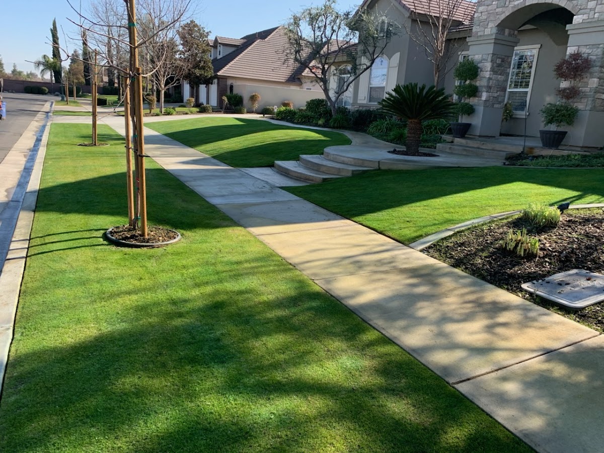 Bakersfield T and T Enterprise Pro Gardening and Irrigation Serv