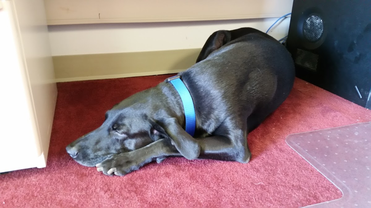 U.S. Mechanical Services