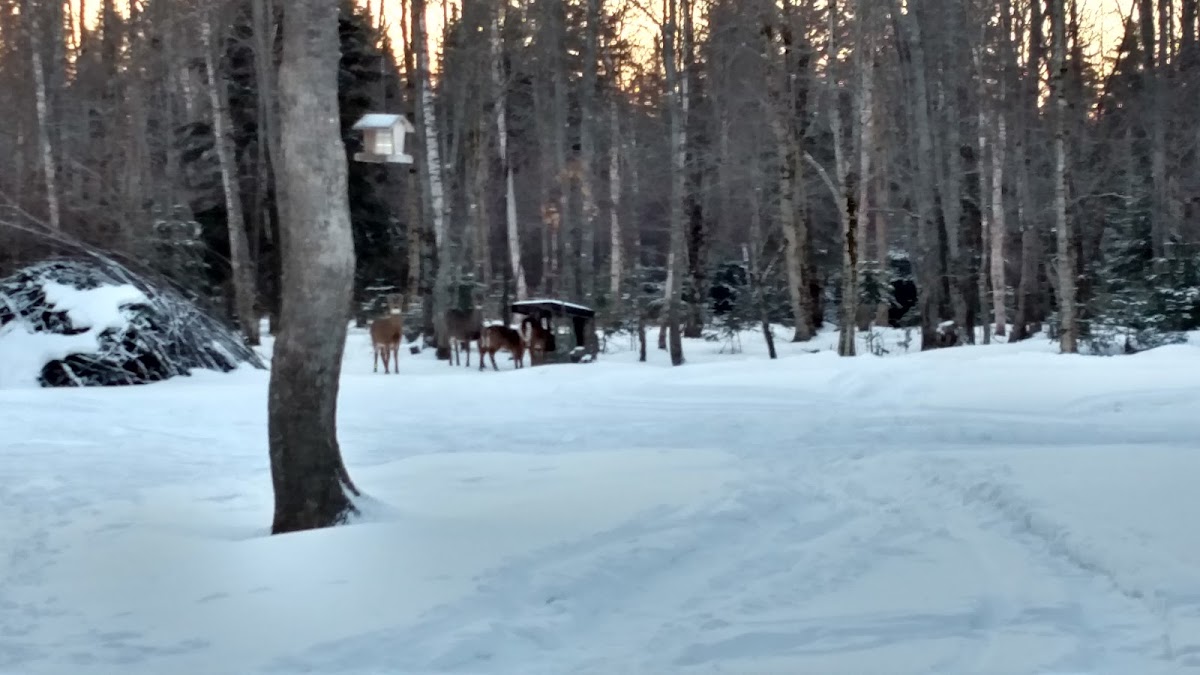 S-ADZ Dryer Vent Cleaning & Air Duct Cleaning Services Pittsburg, NH Drain Cleaning in Pittsburg, NH photo