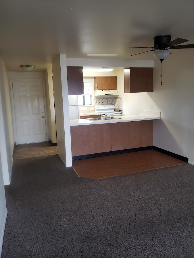 Cunningham Carpet Cleaning