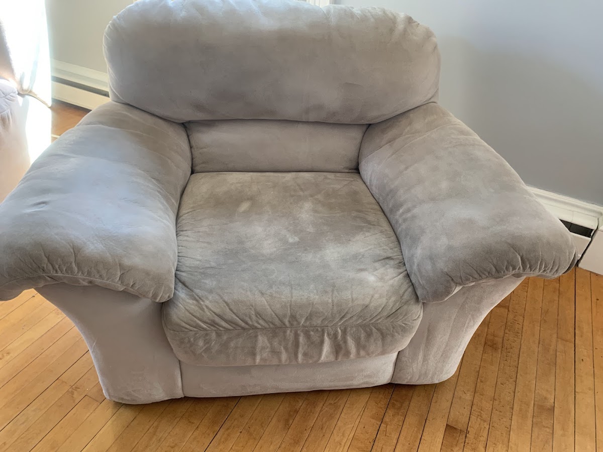 Healthy Homes Carpet & Upholstery Cleaning