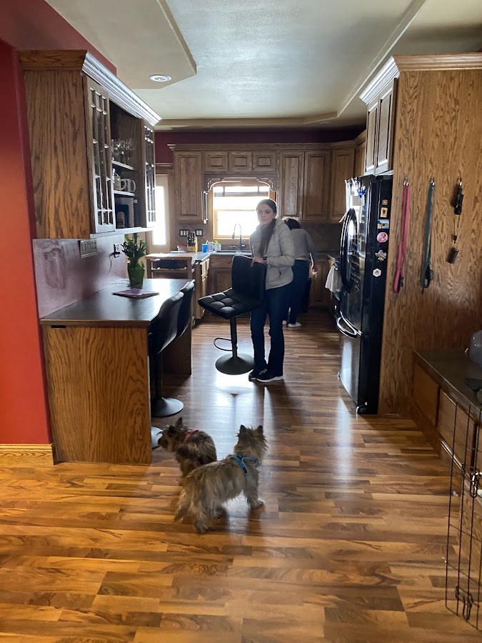 House Doctors Painting & Restoration