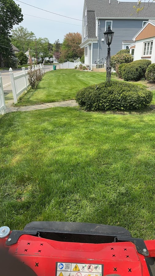 Bluepeak Landscaping