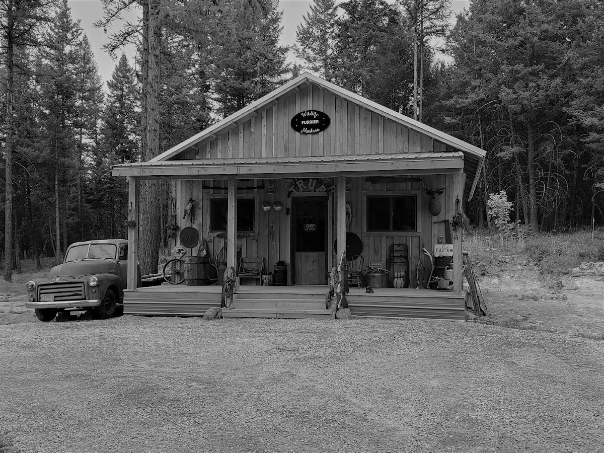 Cage Construction - Cage Construction Deck Repair in Kalispell, MT photo
