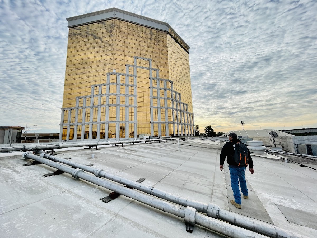 Raven Services Pest Elimination