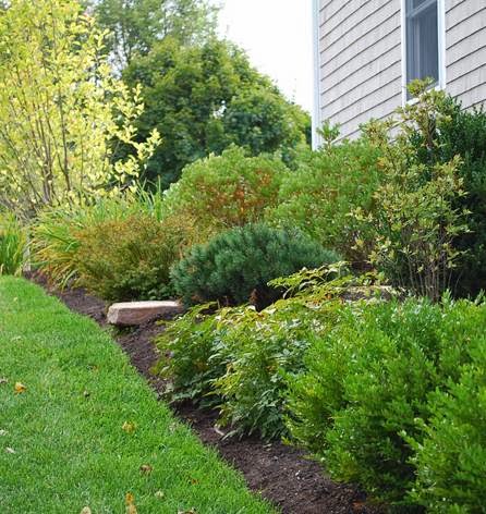 Mountain Top Landscape Co