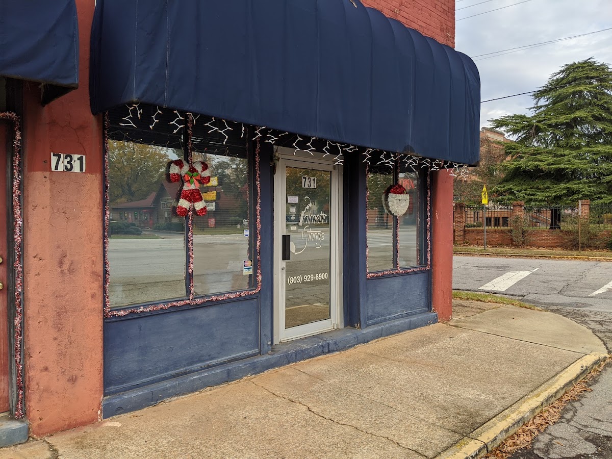 Palmetto Strings - Palmetto Strings Oven Repair in Columbia, SC photo