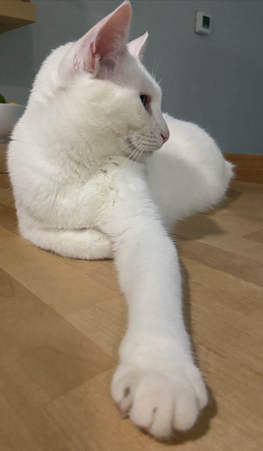 A-Max Flooring - Hardwood Installation and Refinishing