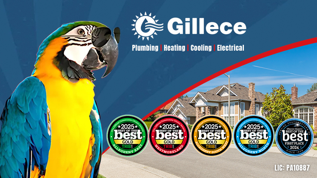 Gillece Services