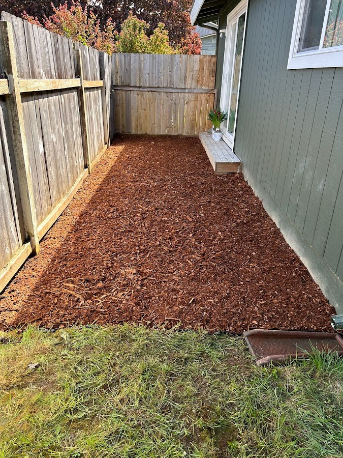 Flowers And Colors - Landscaping