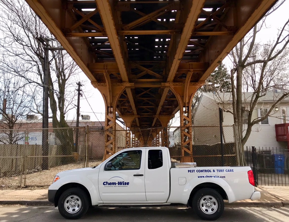 Chem-Wise Pest Control