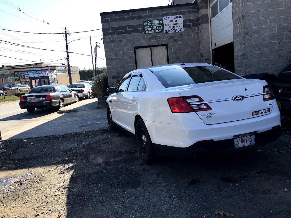 North White Auto Inc