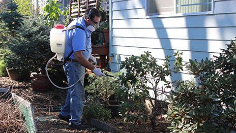 TryT thBurton Pest Control