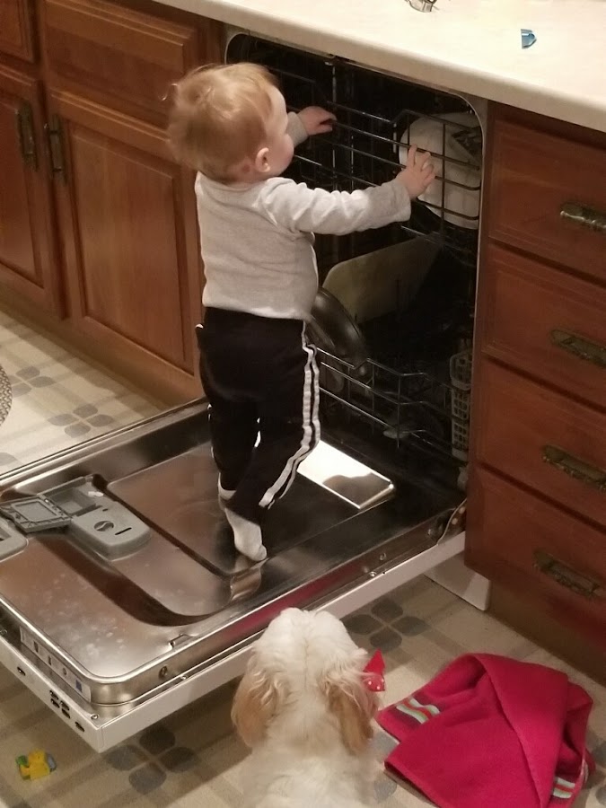 Appliance Rescue Service