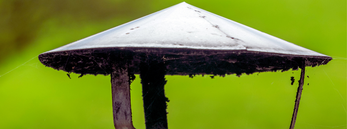 Finest Washington Chimney Cleaners