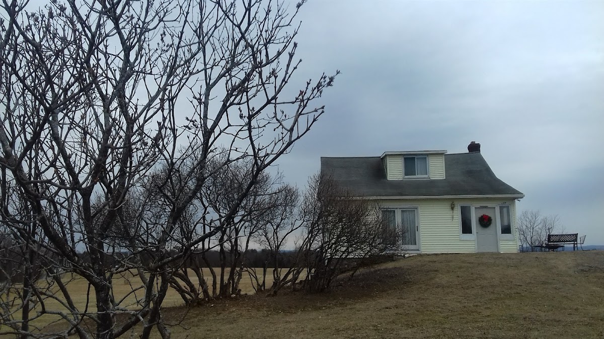 TYA WoodStove Cleaning & Gas FIreplace Repair Service Co, NH