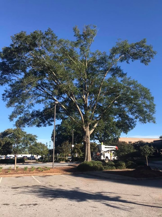 Greenwood Landscaping and Tree Removal