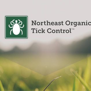 Northeast Organic Tick Control