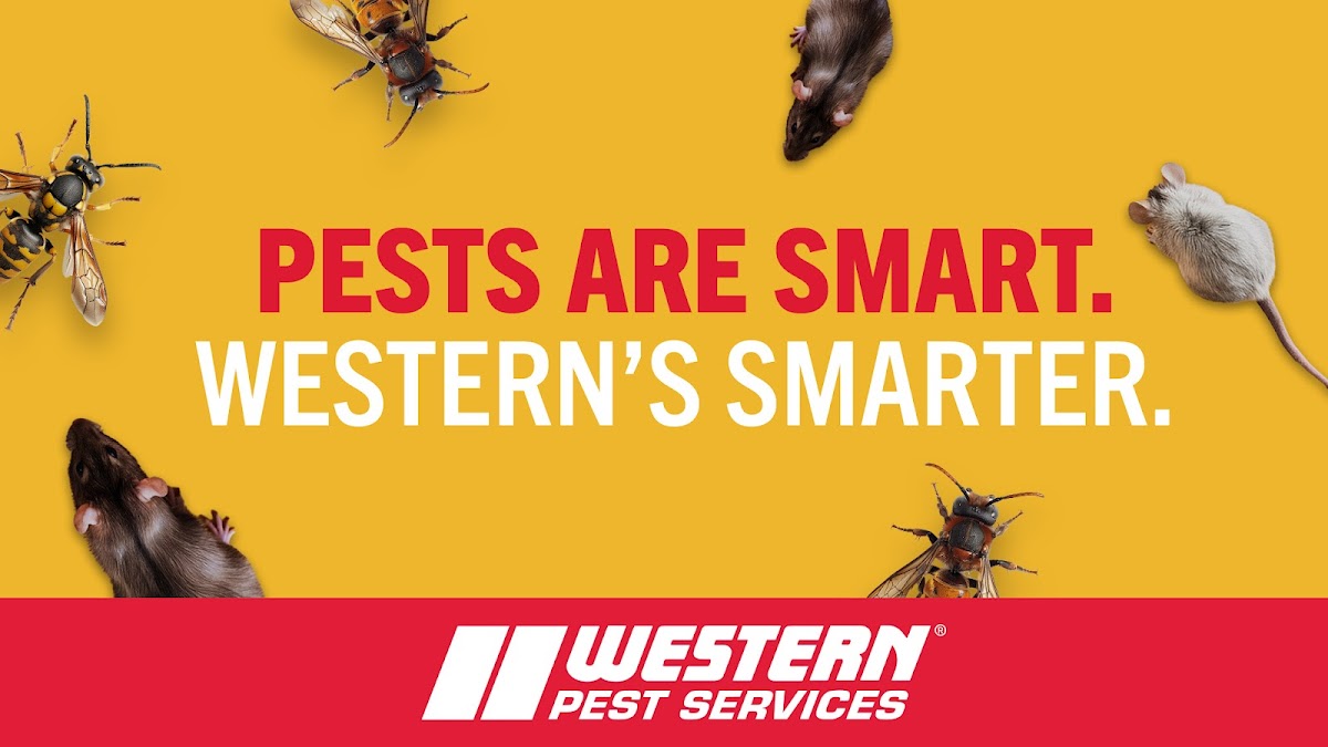 Western Pest Services - Pest Control, Lititz, PA