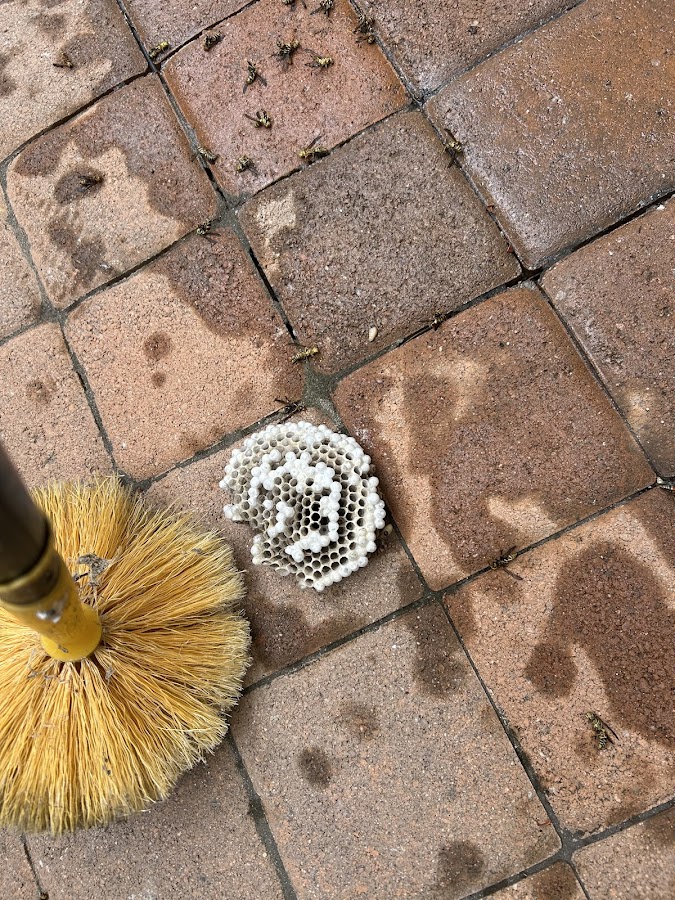 Premium Termite & Pest Control