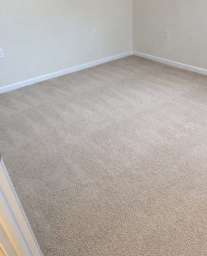 Larry the carpet guy