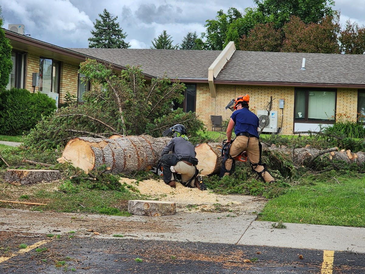 For-Evergreen Ground Maintenance and Tree Services
