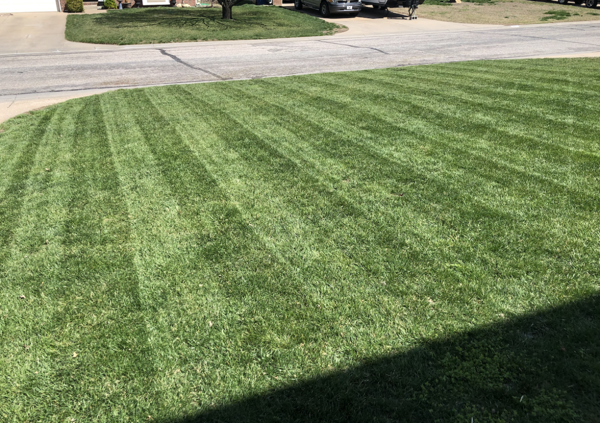 Madfield Lawn & Landscaping