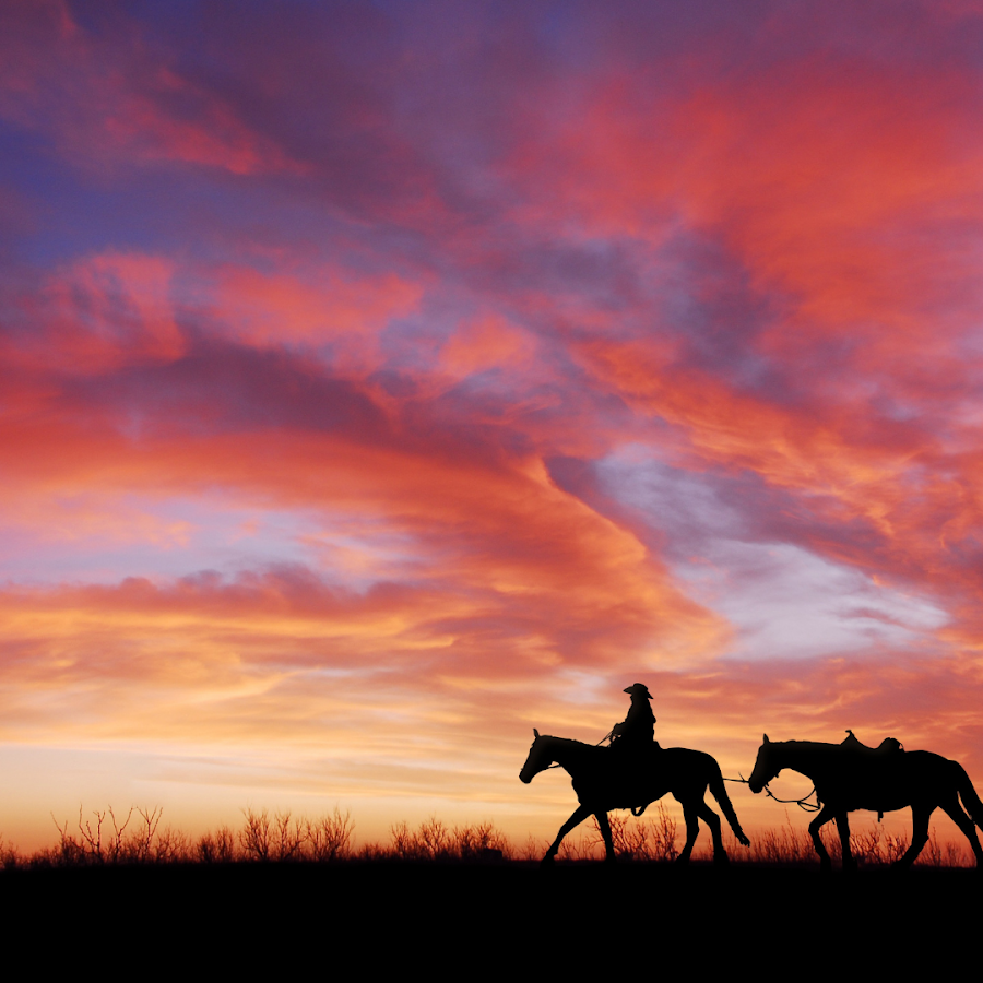 Silver Spur Plumbing