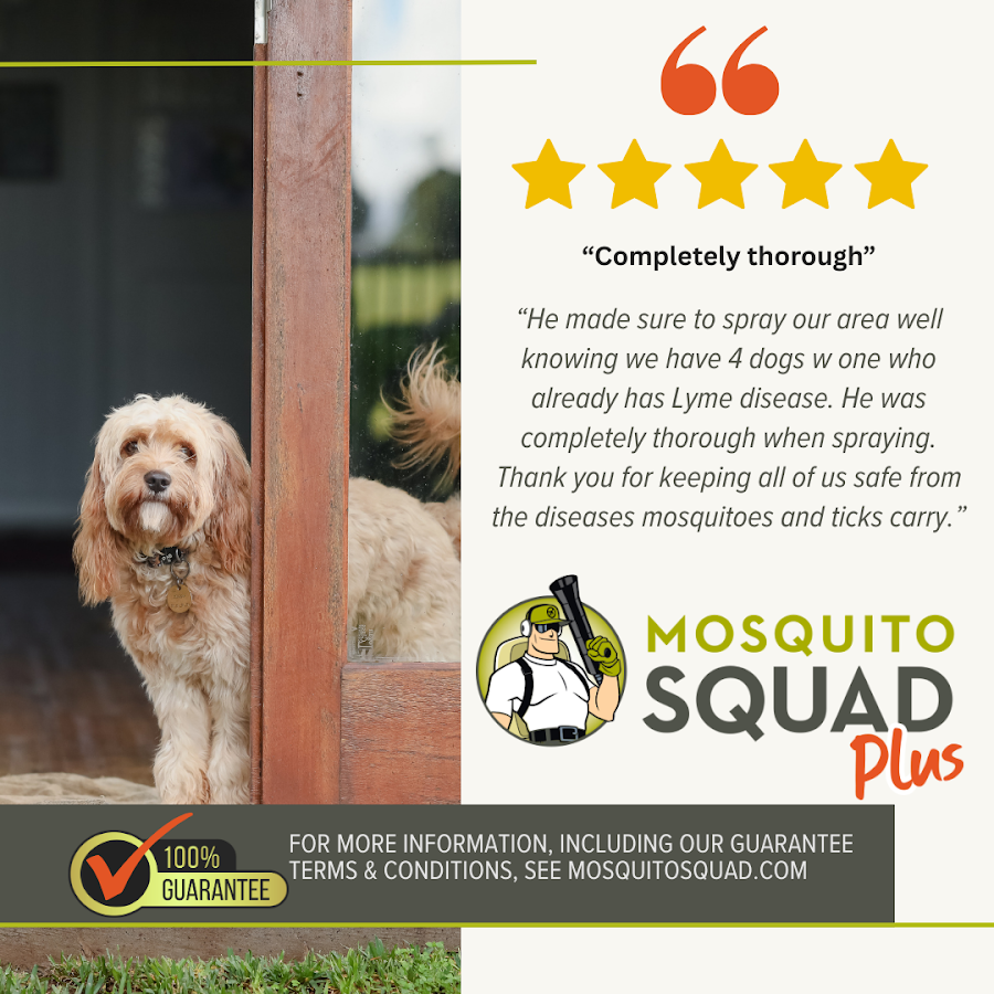 Mosquito Squad of New Hampshire Lakes Region