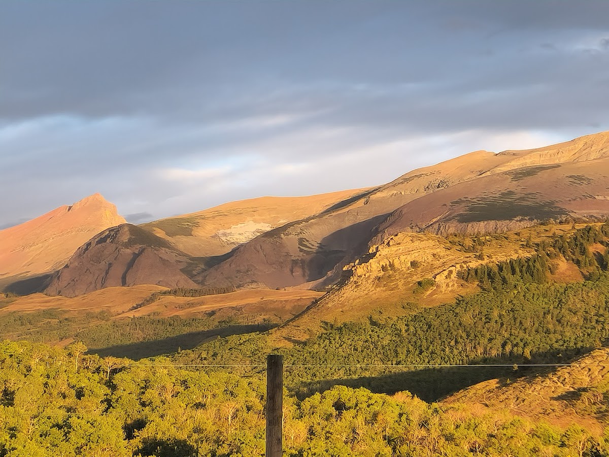 Owl Child Technologies