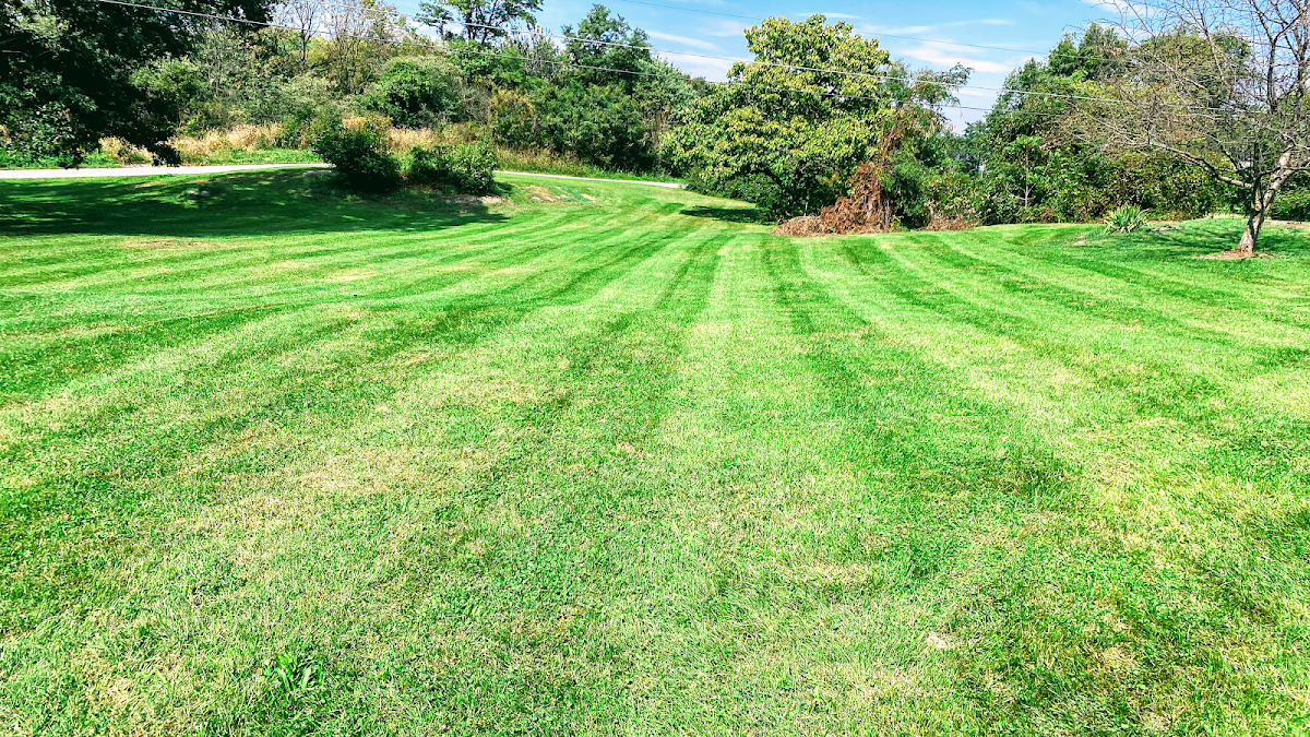 Landscapers Landscaping LLC