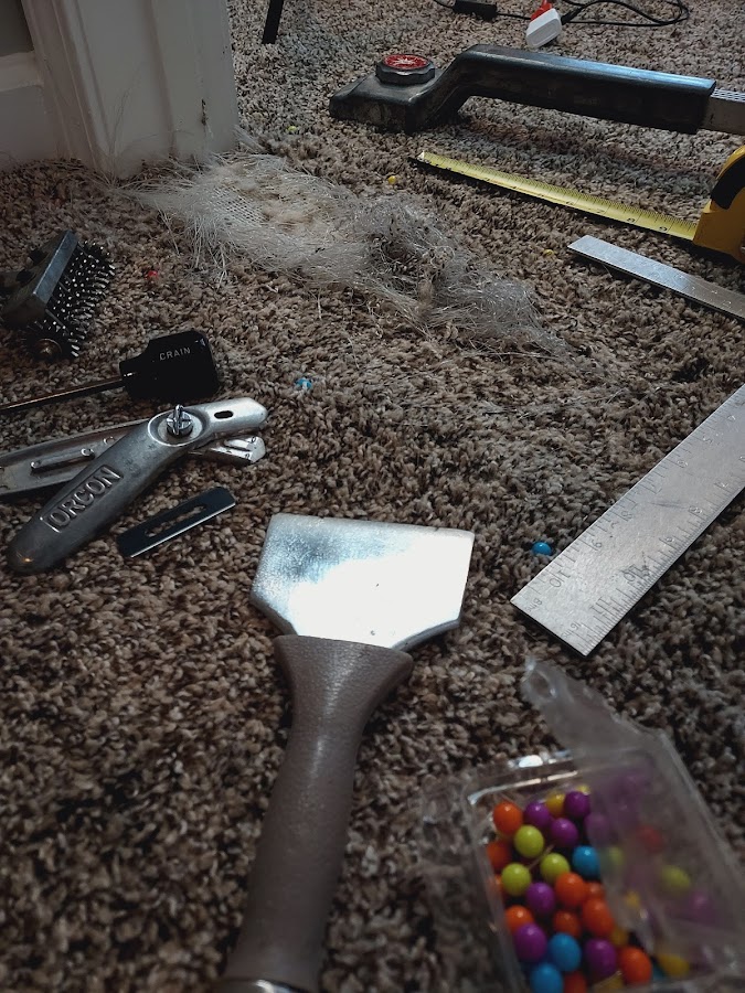 Wake Forest Carpet Care