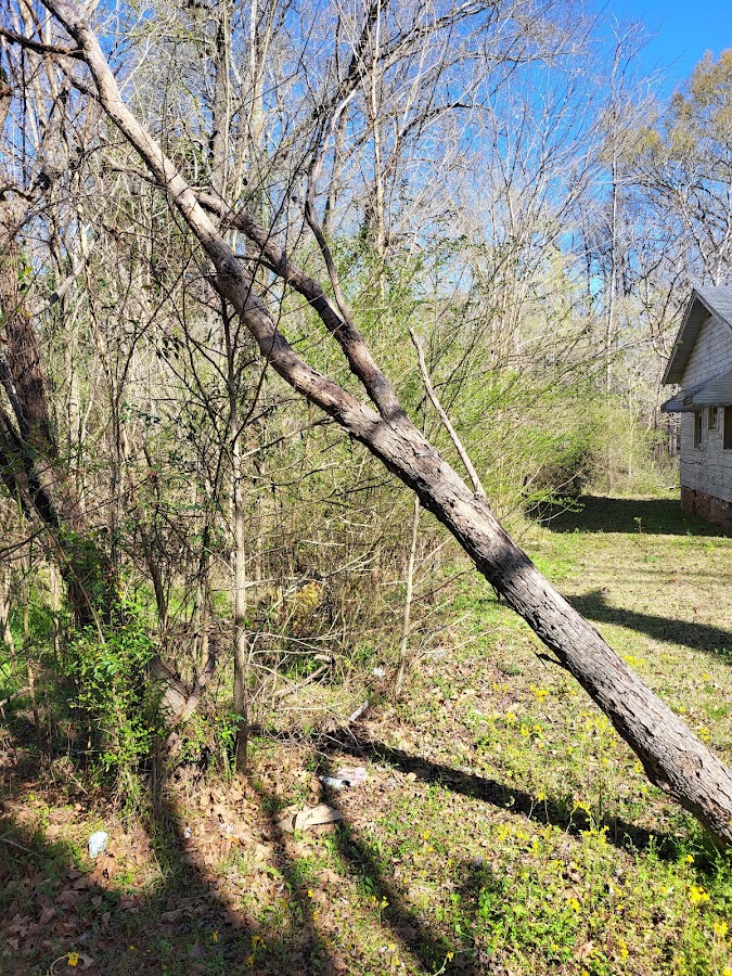 Parkers Landscaping and More