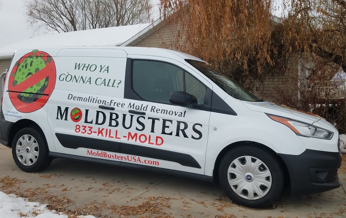 Mold Busters Logan