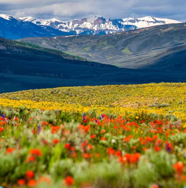 Southern Colorado Stucco