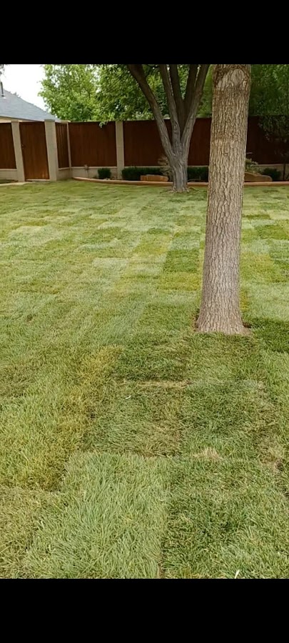 FM Lawncare and sprinkler service