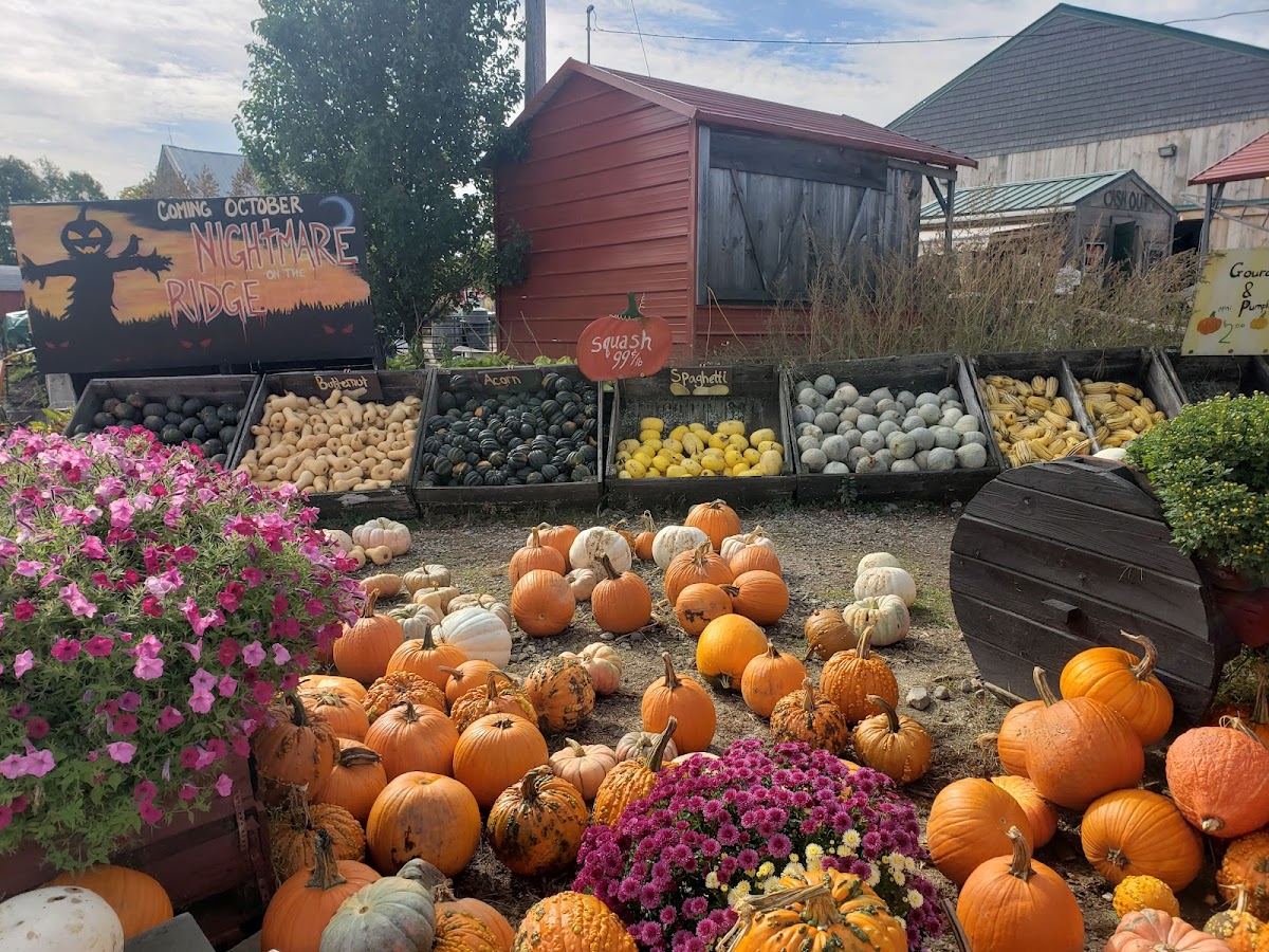 Wallingford's Fruit House