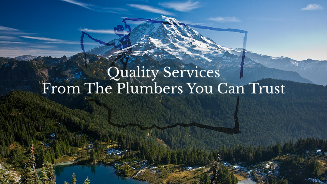 West Coast Plumbing Pumps & Filtration, LLC