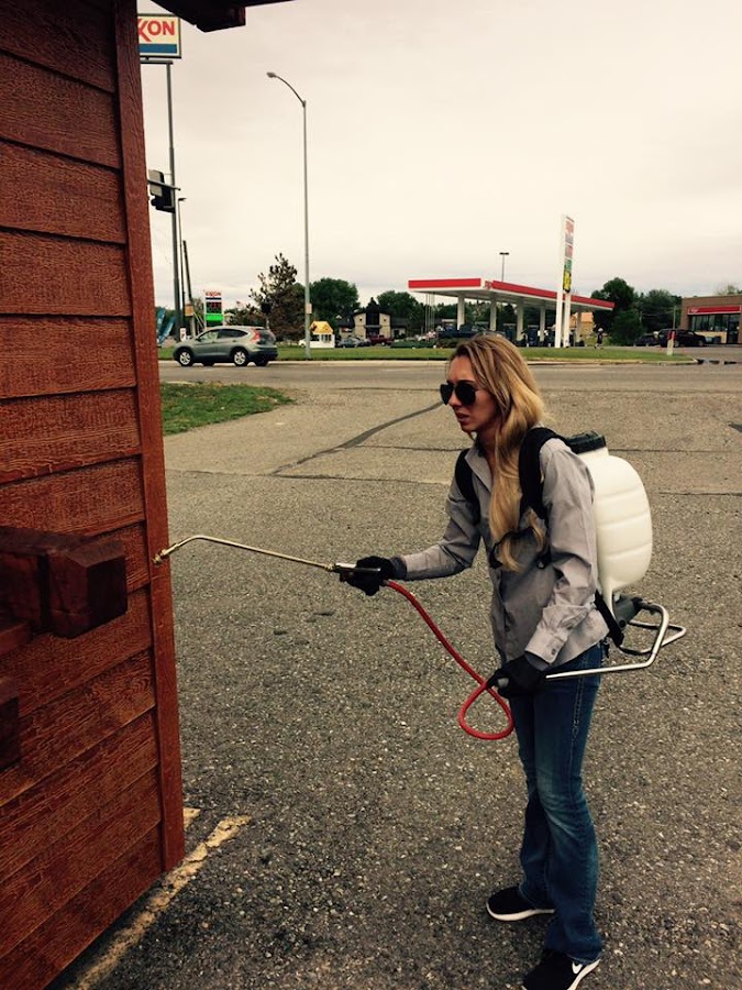 Beeman Pest Solutions