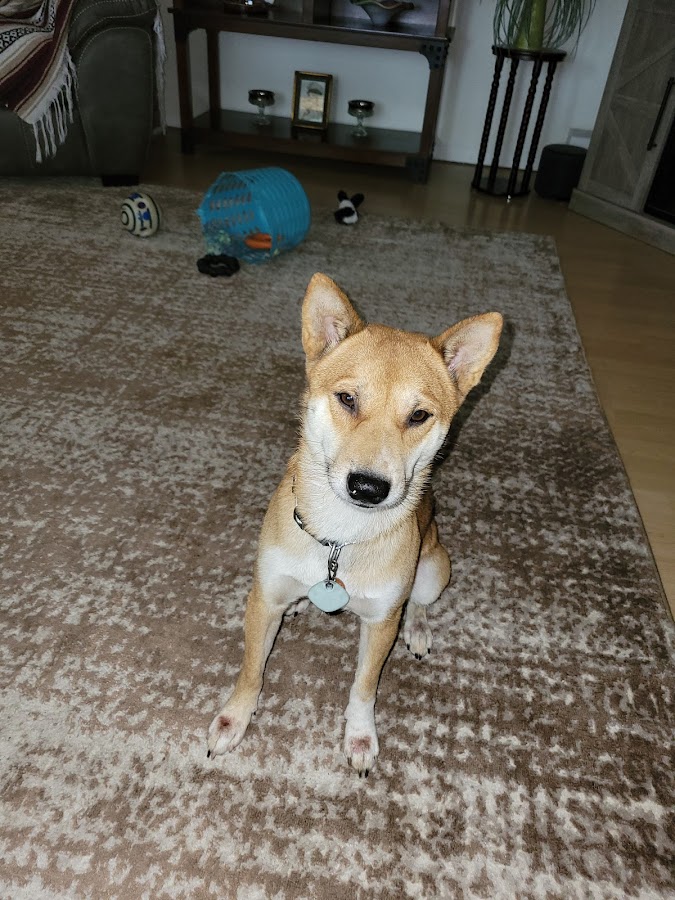 Todd's Appliance Parts & Service